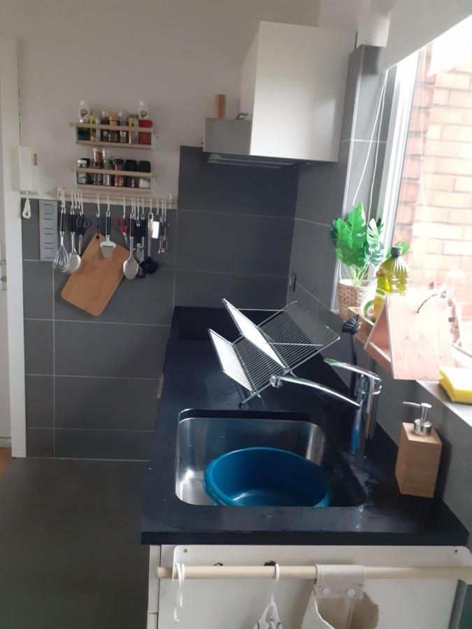 Gezellig Centraal Gelegen Penthouse Oostende Διαμέρισμα Εξωτερικό φωτογραφία